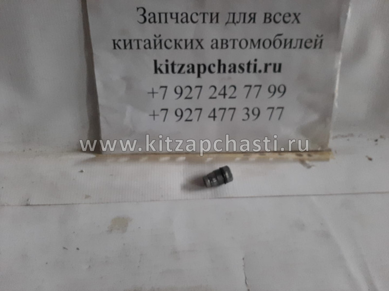 Клапан редукционный сброса давления топлива (рампы) Валдай Cummins Евро 3 дв. ISF 3.8  0031015087 Bosch