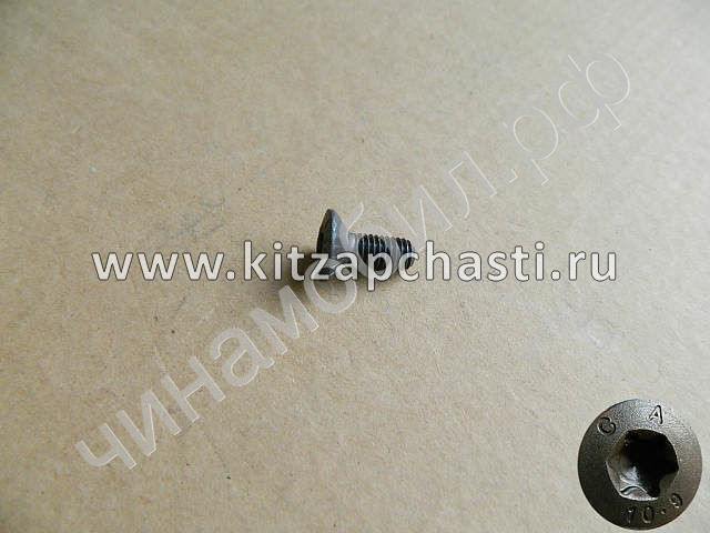 Винт крепежный диска коленвала TANK 400 1005017XEC01