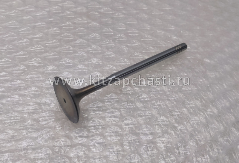 Клапан впускной  FAW Bestune X40 1007011-26L