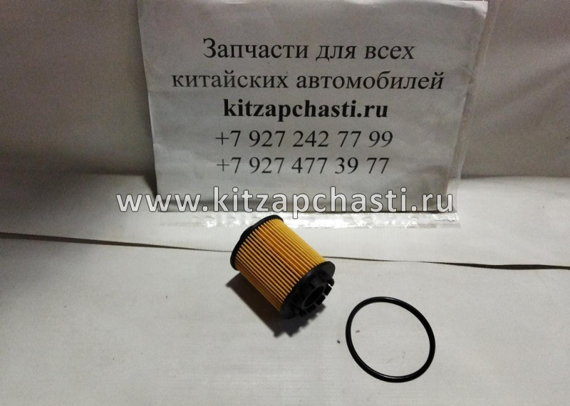 Масляный фильтр HAVAL F7x 2pect 1017100AEN01