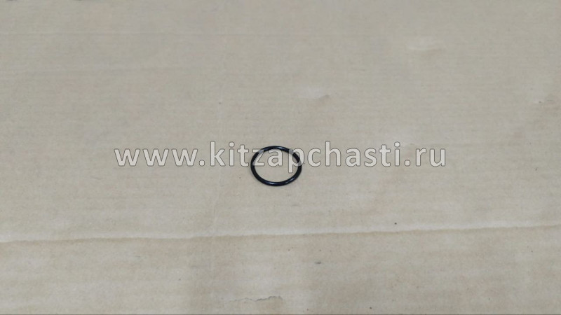 Прокладка водяного насоса (помпы) Livan X6 PRO 1066007400