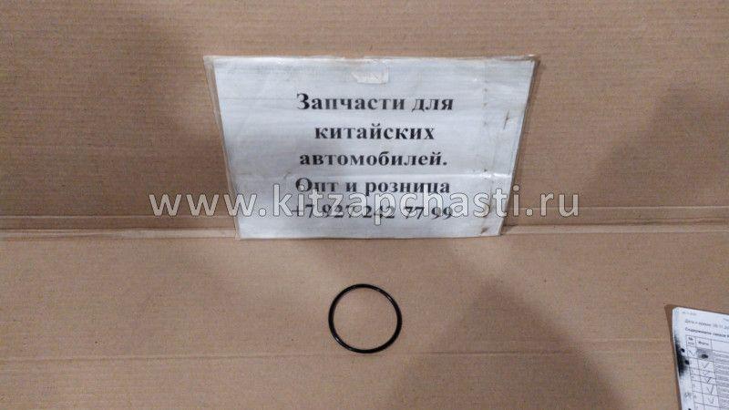 Прокладка водяного насоса Livan X3 PRO 1136000208