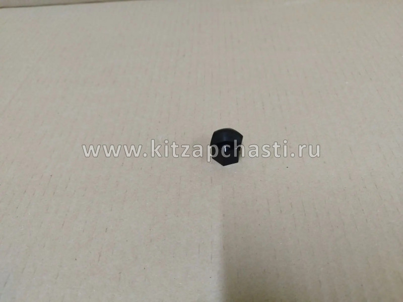 Колпачок декоративный болта крепления колеса  EXEED RX 203000542AA