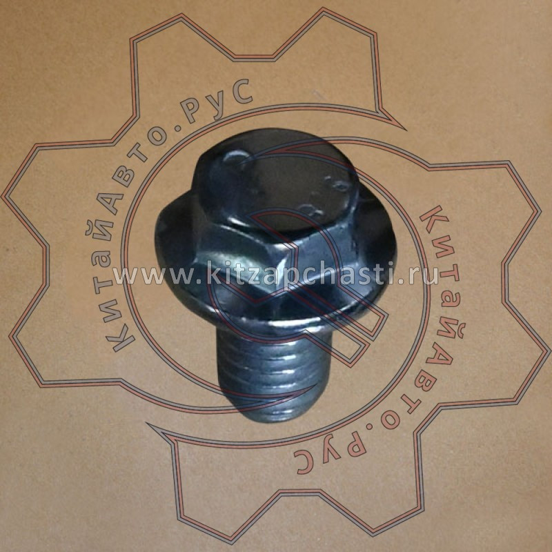 Болты для крепления крыла EXEED TXL FL 204002186AA