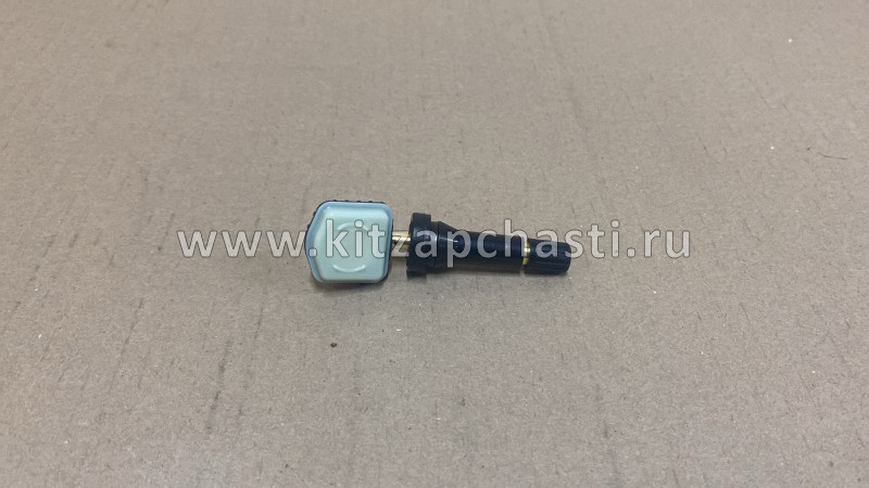 Датчик давления в шинах Jetour T2 F113114011BA