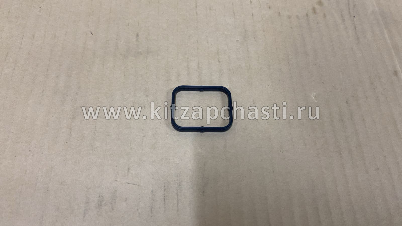 Прокладка водяного насоса №1 Jetour DASHING F4J16-1307113