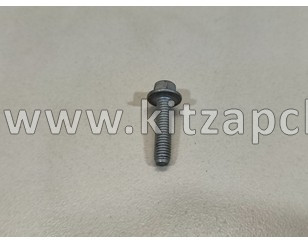 Болт направляющей цепи Changan Hunter Plus H160071800